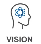 vision